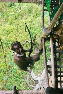 Papua_Kombai_tree_people_Uzel (1)
