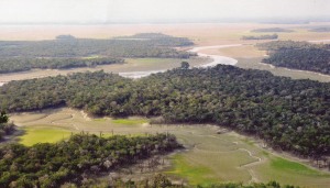 Danau Sentarum Danau Unik dan Langka Di Jantung Borneo 