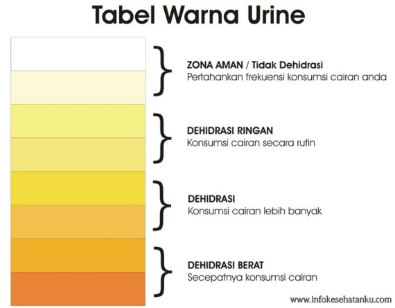 tabel warna urine